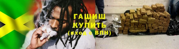 ГАЛЛЮЦИНОГЕННЫЕ ГРИБЫ Ладушкин