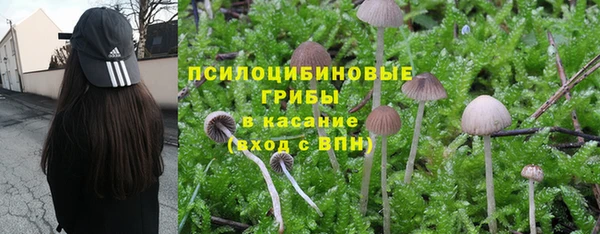 дживик Кукмор
