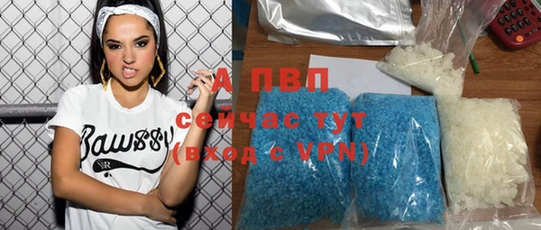 ГАЛЛЮЦИНОГЕННЫЕ ГРИБЫ Ладушкин