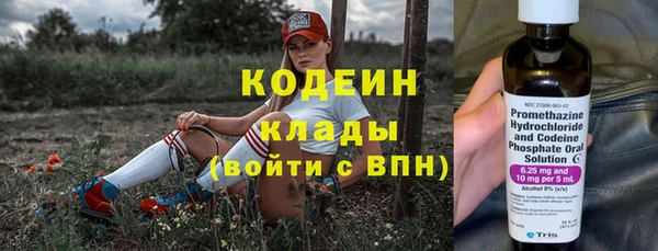 ГАЛЛЮЦИНОГЕННЫЕ ГРИБЫ Ладушкин