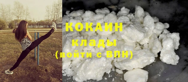 ГАЛЛЮЦИНОГЕННЫЕ ГРИБЫ Ладушкин
