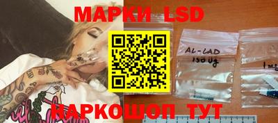 стафф Донской