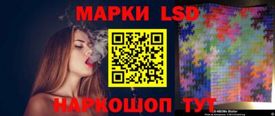 стафф Донской