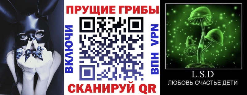 Псилоцибиновые грибы мицелий  купить наркотик  Майкоп 