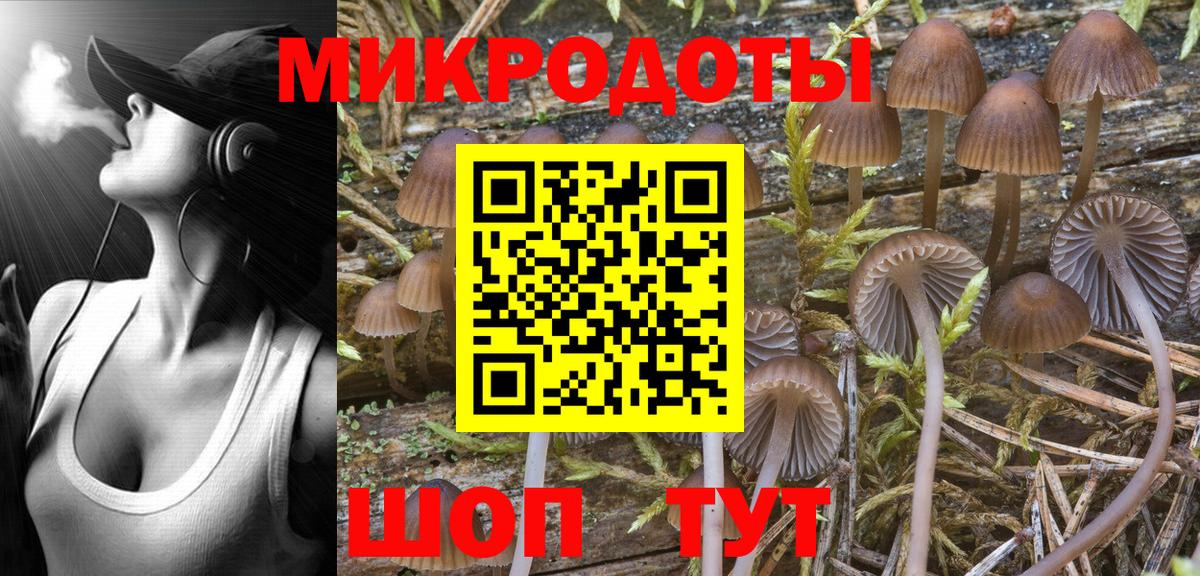 Галлюциногенные грибы Magic Shrooms  Вход с VPN  наркотики  Майкоп  Галлюциногенные грибы GOLDEN TEACHER 