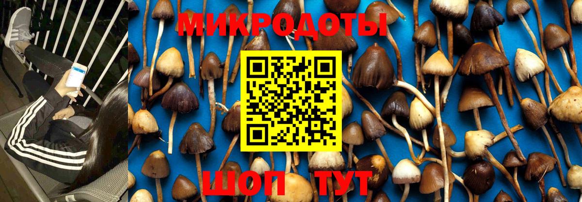 Галлюциногенные грибы Magic Shrooms  Майкоп  Псилоцибиновые грибы мухоморы 