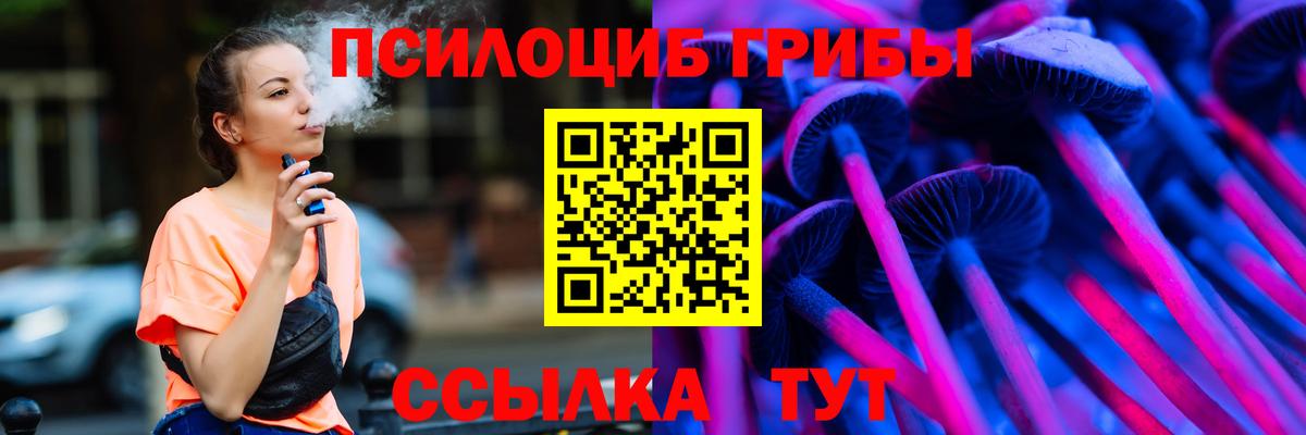 Псилоцибиновые грибы Psilocybe Майкоп