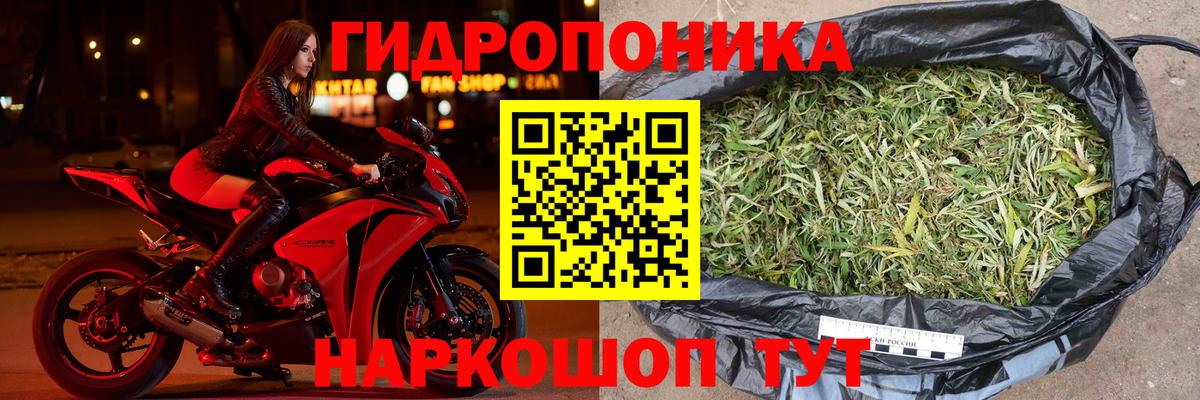 Канабис MAZAR Майкоп